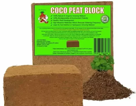 Mr Stacky Coco Peat