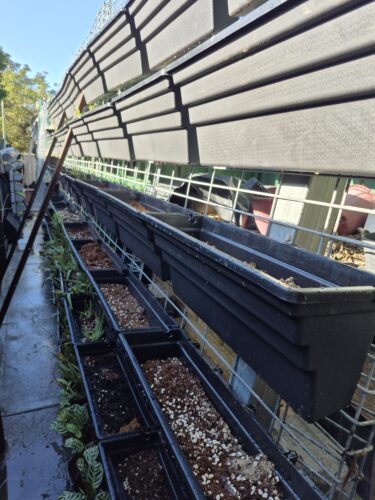 Vertical Wall Garden Kits photo review