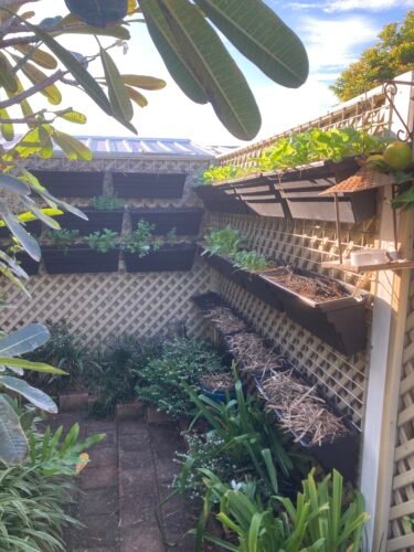 Vertical Wall Garden photo review