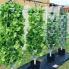 Greenage farms TT
