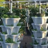 Smart Farming 100 Tower Hydroponic Farms - Image 9