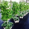 3 Tower DIY Gardening System - Image 11