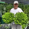 Smart Farming 100 Tower Hydroponic Farms - Image 4