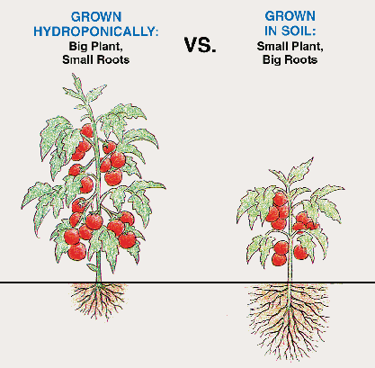 whats better? Hydroponic gardening or growing in soil?