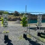 3 Tower DIY Gardening System photo review