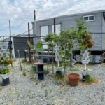 3 Tower DIY Gardening System photo review