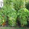 3 Tower DIY Gardening System - Image 5