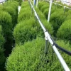 3 Tower DIY Gardening System - Image 3