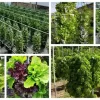 3 Tower DIY Gardening System - Image 15