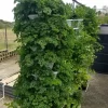 3 Tower DIY Gardening System - Image 4
