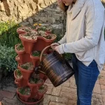 Vertical Garden Planters & Trolleys photo review