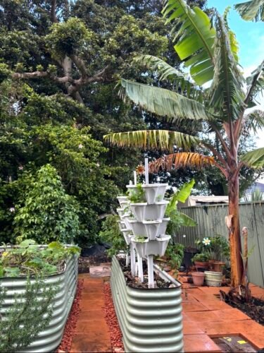 Vertical Garden Planters & Trolleys photo review
