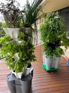 Smart Farm Hydroponic Tower Garden photo review