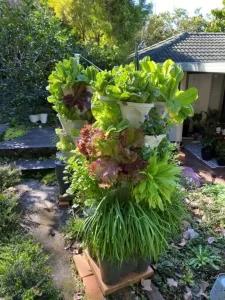 Smart Farm Hydroponic Tower Garden photo review