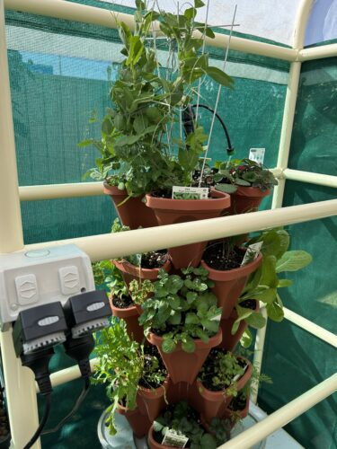 Smart Farm Tower Garden photo review