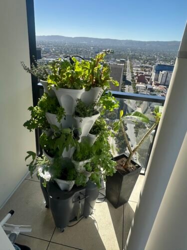 Smart Farm Tower Garden photo review