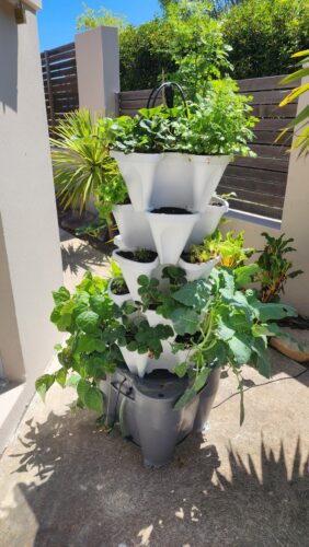 Smart Farm Hydroponic Tower Garden photo review