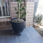 Heavy-Duty Plant Trolley photo review