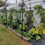 Hydroponic Powder Nutrients photo review