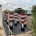 Hydroponic Powder Nutrients photo review