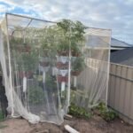 Hydroponic Powder Nutrients photo review