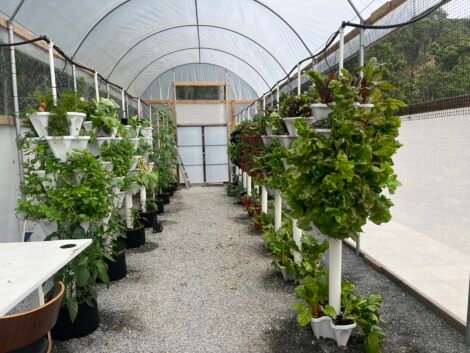 30 Tower Hydroponic Farming System