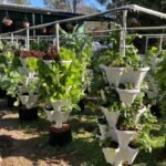 9 Tower DIY Vertical Garden System photo review