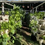 9 Tower DIY Vertical Garden System photo review