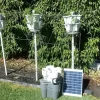 Solar Water Pump - Image 6