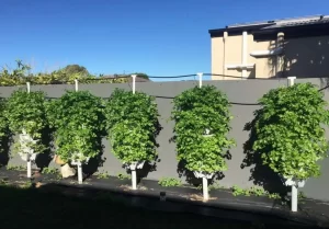 Mr Stacky planters lined up in garden