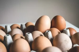 eggs in carboard box