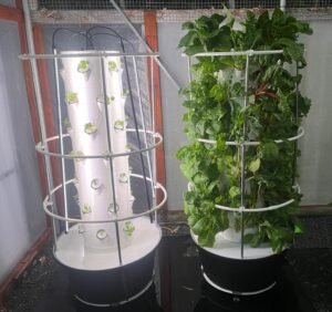Air Stacky Aeroponic Tower Gardens