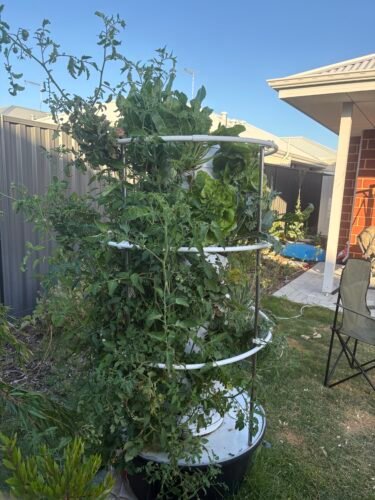 Air Stacky - Aeroponic Tower Garden photo review