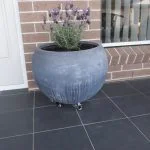 Heavy-Duty Plant Trolley photo review