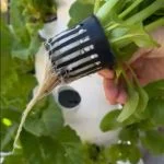 Air Stacky - Aeroponic Tower Garden photo review