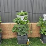 Smart Farm 3 Tower Hydroponic Garden photo review