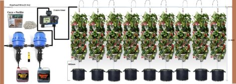 Mr Stacky Tower Gardening System Australia - Affordable and Automated Vertical Garden Kit