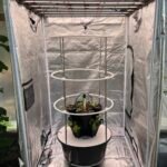 VHX System Plus - Complete Indoor Package