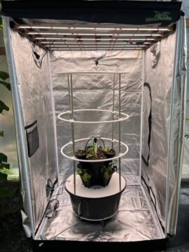 Green Stack VHX indoor growing system with with grow tent and lighting package for large fruiting crops
