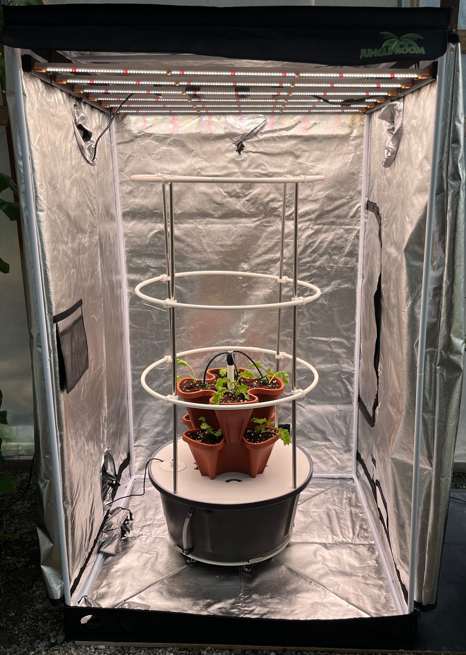 Indoor hydroponic grow tent and automated watering system for premium growing large plants such as capsicum, tomatoes, cannabis