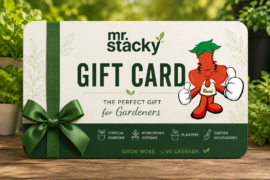 Mr Stacky Gift Card