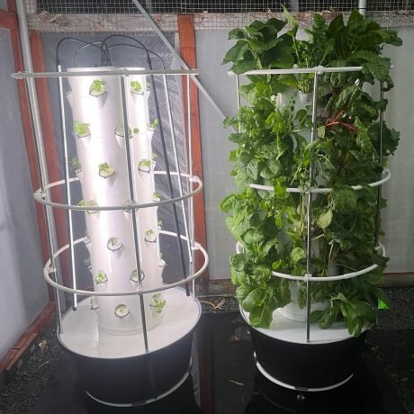 Air Stacky Aeroponic Tower Gardens