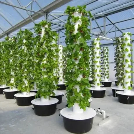 Indoor-Aeroponic-Tower-Farm-1-1-1