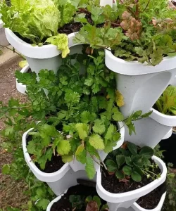 Buy Wholesale Australia Planters, Stackable 3 Layers Vertical Garden &  Planters at USD 12.6