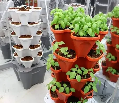 Mr Stacky Hydroponic Smart Farm