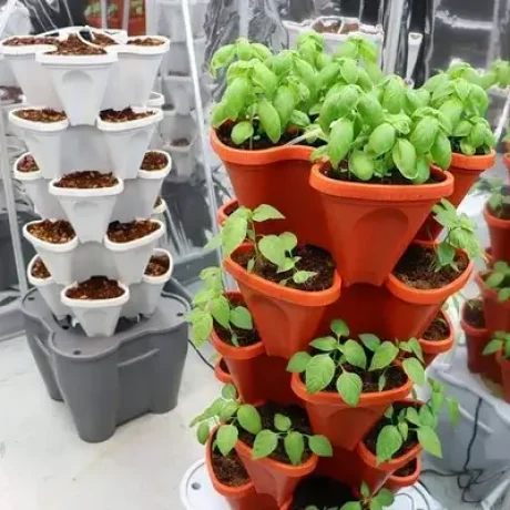 Mr Stacky Hydroponic Smart Farm