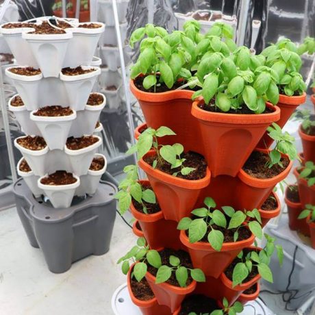 Mr Stacky Hydroponic Smart Farm