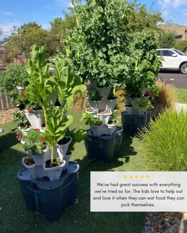 Swipe to look at the incredible mixed veggies growth from the Hydroponic 3 Tower Smart Farm Gardens! 🪴The 3 Tower Smart Farm Gardens are perfect for growing a huge variety and high yield of plants!
💌 Upload your Mr Stacky towers with us through our customer showcase page and you’ll receive a 20% off coupon! ☀️
👉 Click the link in the bio to start your gardening journey today! 🧑🌾
mrstacky mrstackyaustralia verticalgardening gardening towergarden aeroponics verticalfarming homegrownfood growyourownfood towerfarms towerfarming freshproduce soilless lowwasteliving urbangardening growingvegetables